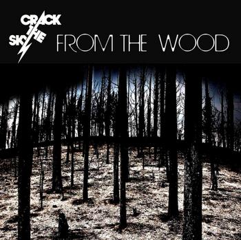 Crack The Sky - FROM THE WOOD - 2023.jpg